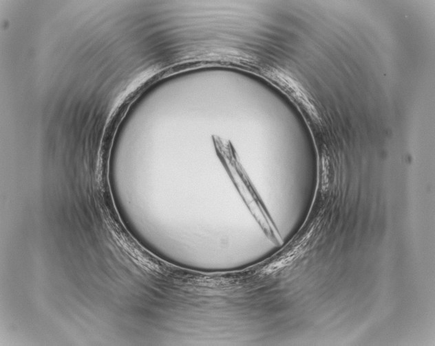 X0000087360780200705111644