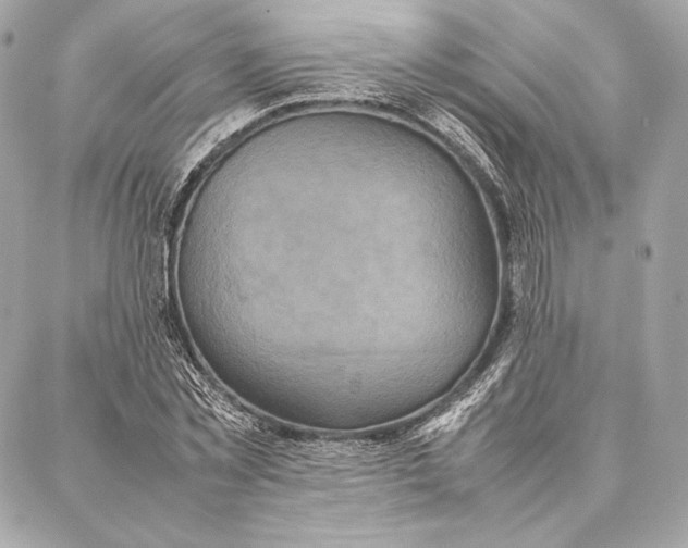 X0000087360781200705111644