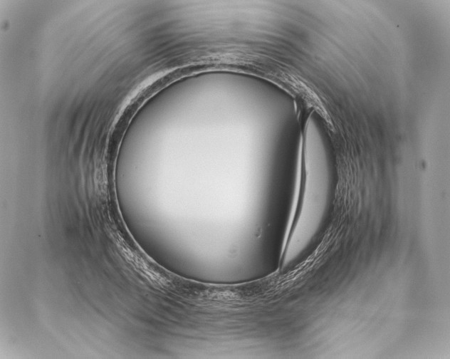 X0000087360784200705111644