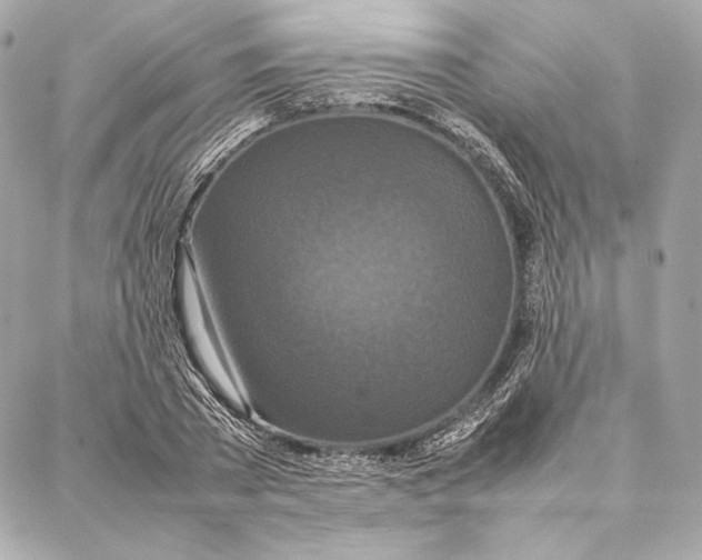 X0000087360785200705111644