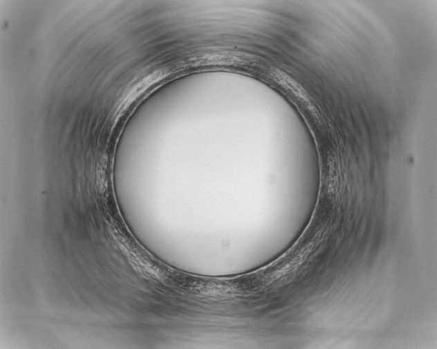 X0000087360786200705111644