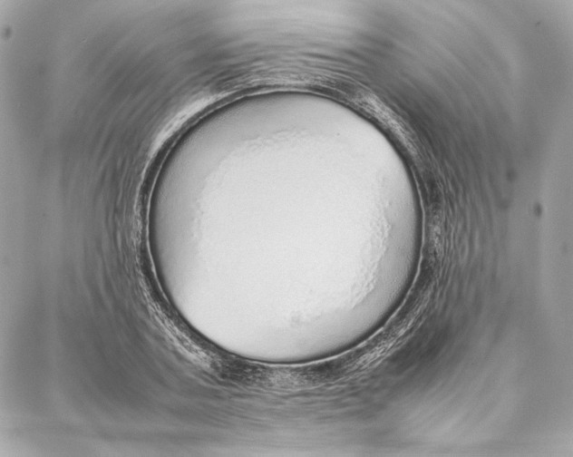 X0000087360787200705111644