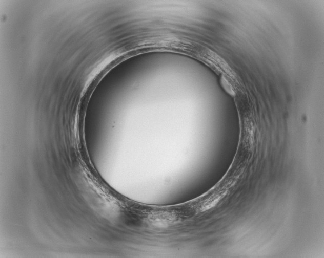 X0000087360788200705111644