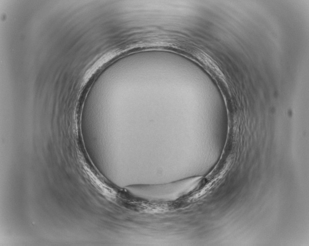 X0000087360789200705111644