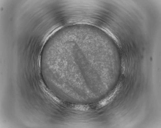 X0000087360790200705111644