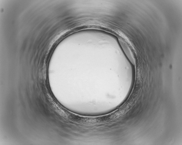 X0000087360791200705111644