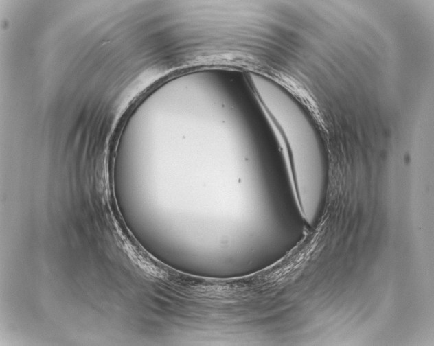 X0000087360792200705111644