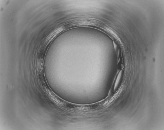 X0000087360793200705111644