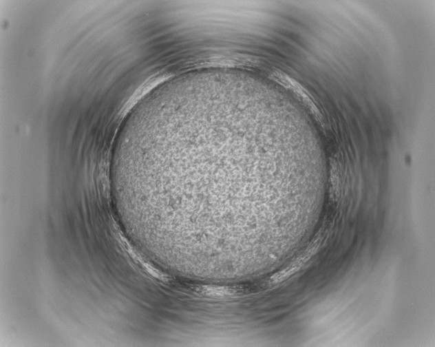 X0000087360794200705111644