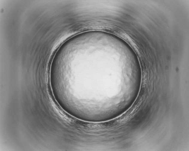 X0000087360795200705111643