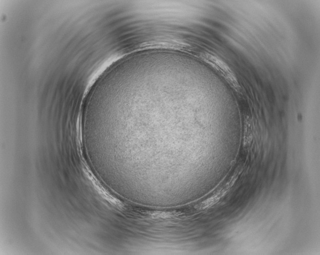 X0000087360796200705111643