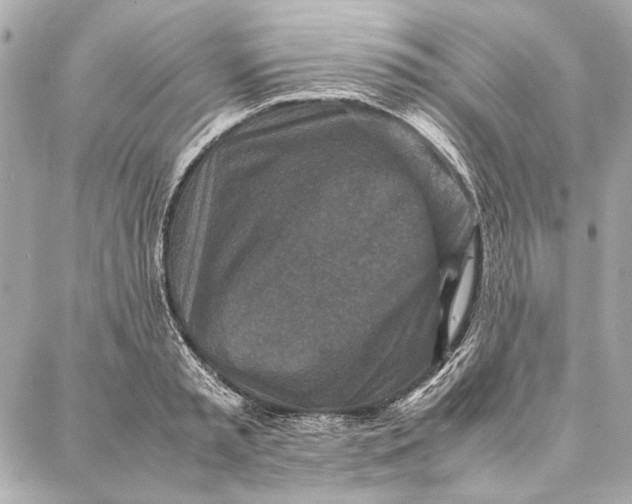 X0000087360797200705111643