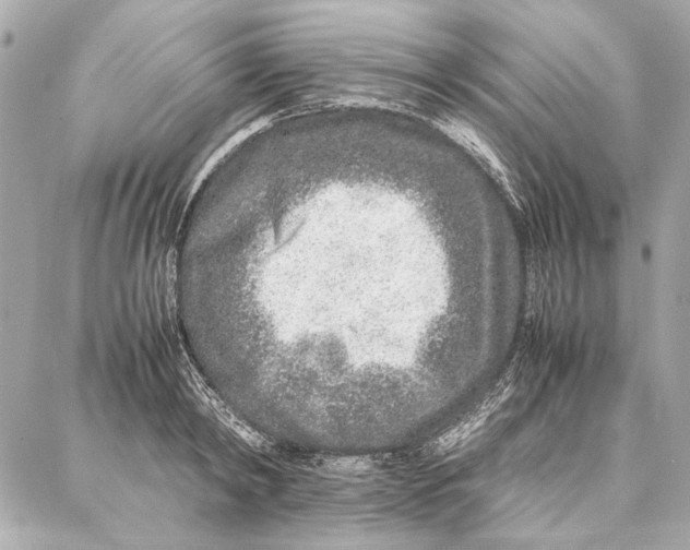 X0000087360798200705111643