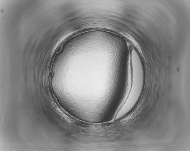 X0000087360799200705111643