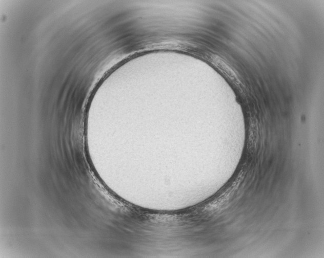 X0000087360800200705111643