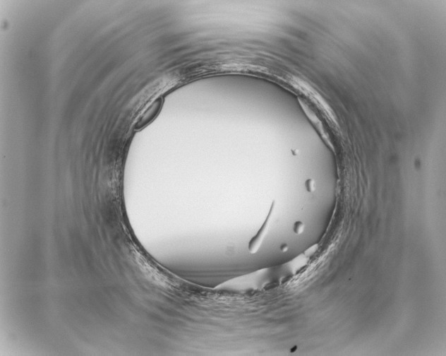 X0000087360801200705111643