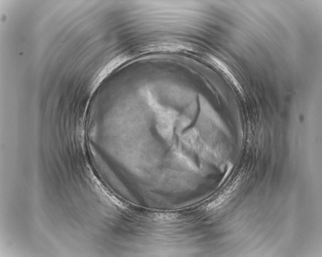 X0000087360802200705111643