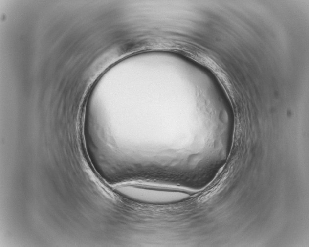 X0000087360803200705111643