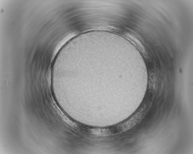 X0000087360804200705111643