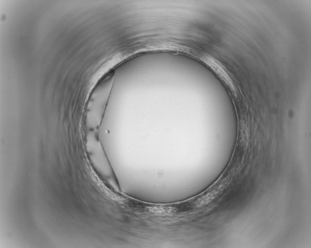 X0000087360805200705111643