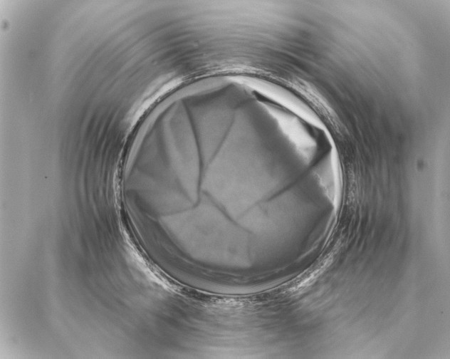 X0000087360806200705111643