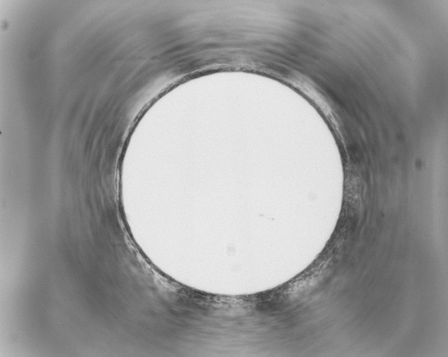 X0000087360807200705111643