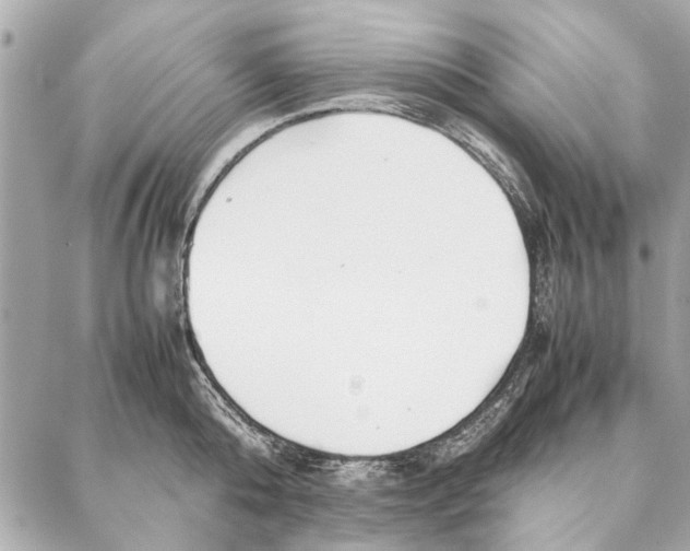 X0000087360808200705111643