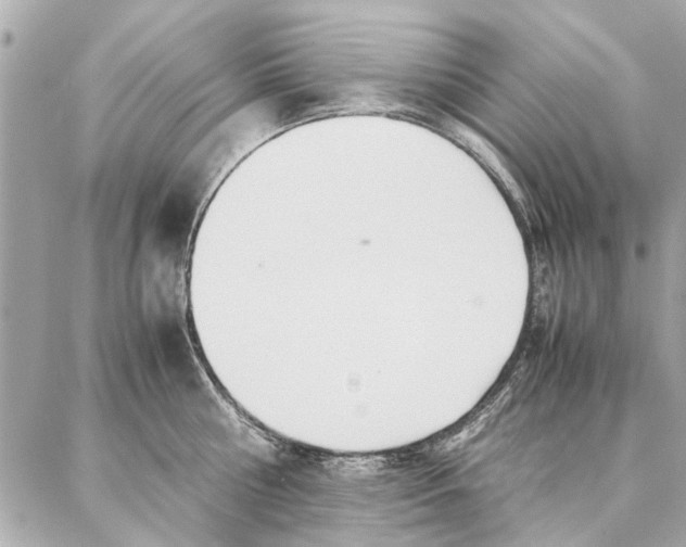 X0000087360810200705111643