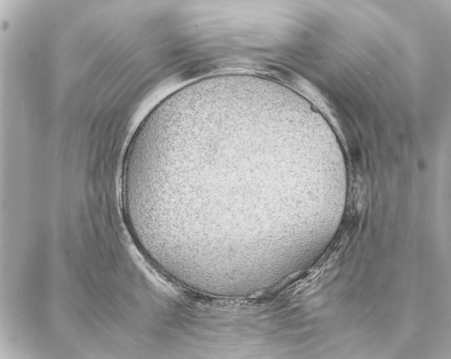 X0000087360811200705111643