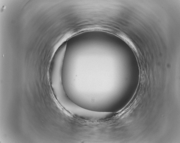 X0000087360813200705111643