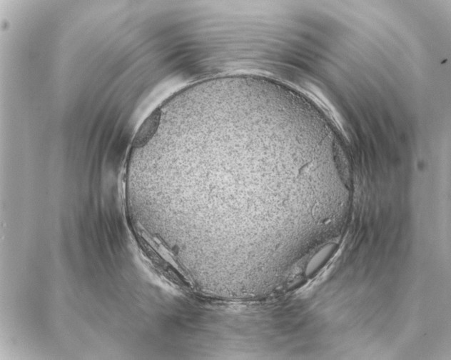 X0000087360814200705111643