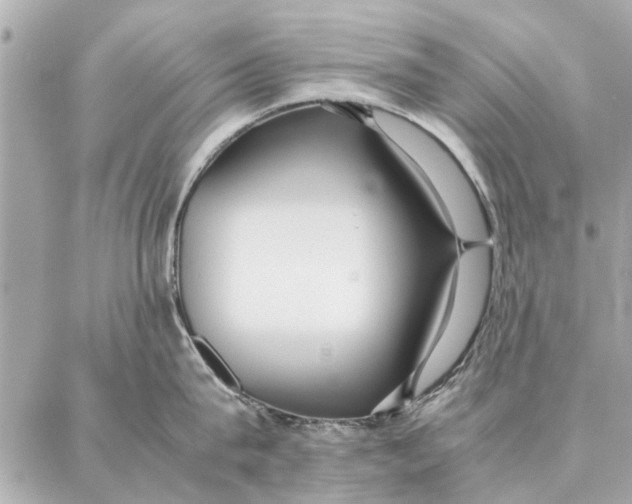 X0000087360815200705111643