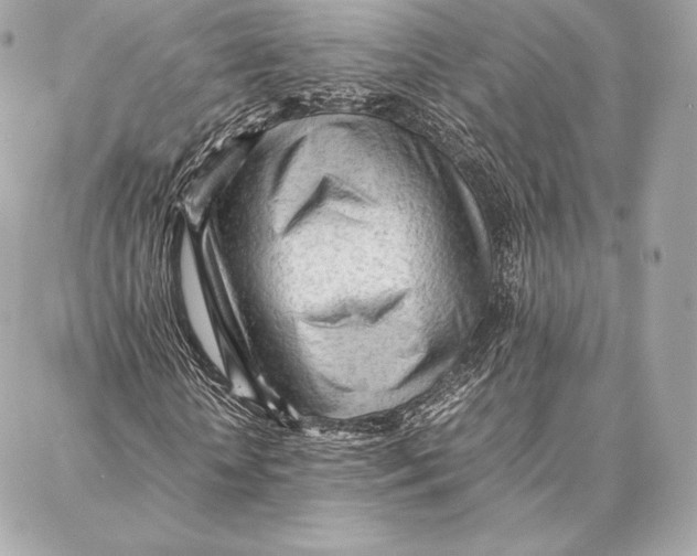 X0000087360818200705111642