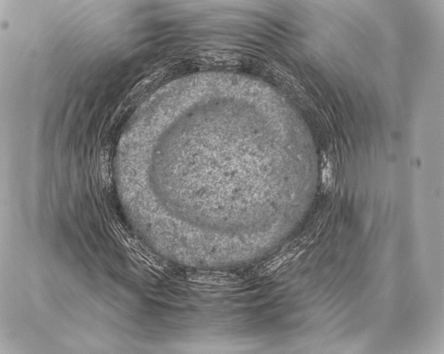 X0000087360819200705111642