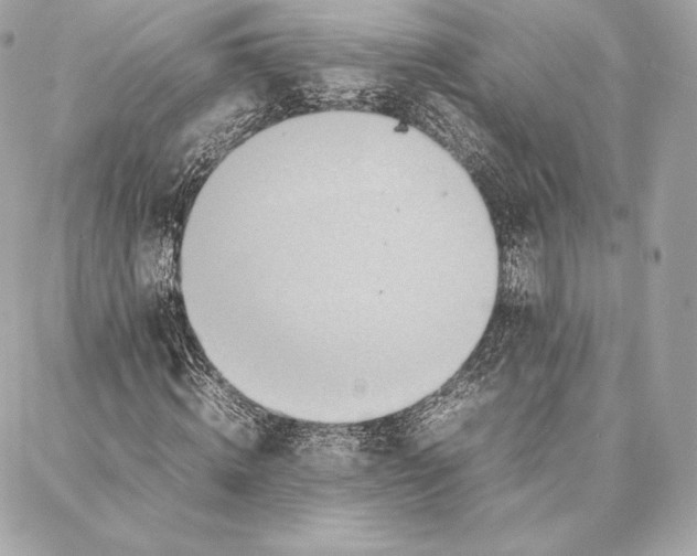 X0000087360820200705111642