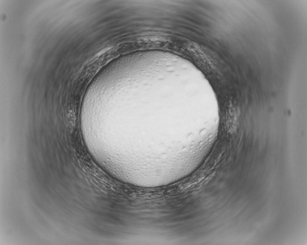 X0000087360821200705111642