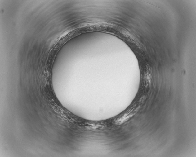 X0000087360822200705111642