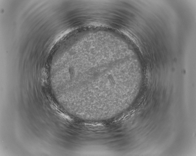 X0000087360823200705111642