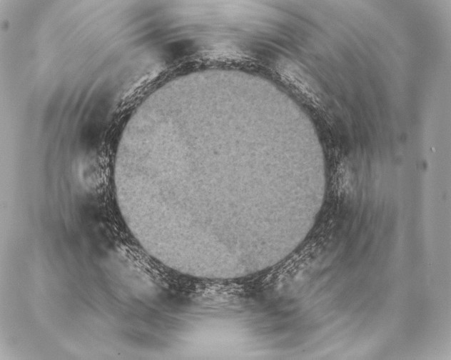 X0000087360824200705111642