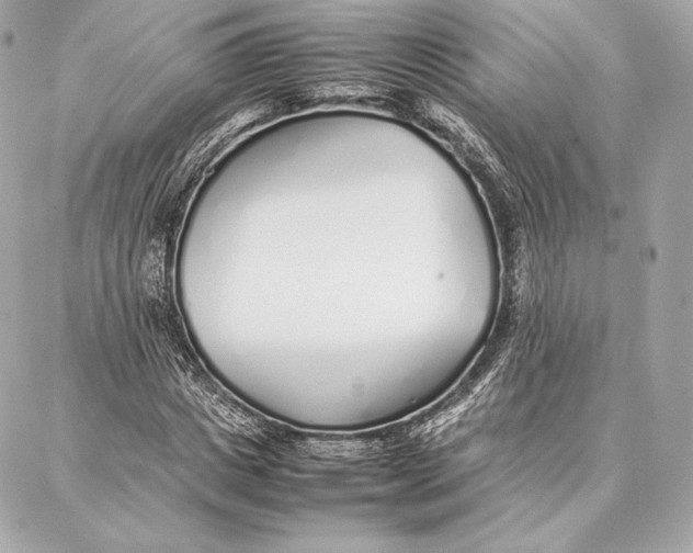 X0000087360825200705111643