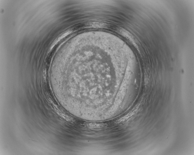 X0000087360827200705111643