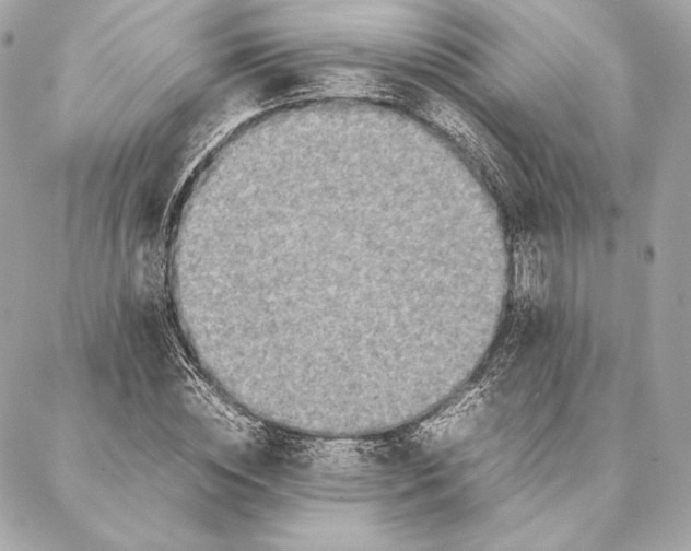 X0000087360828200705111643