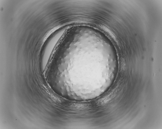 X0000087360829200705111643