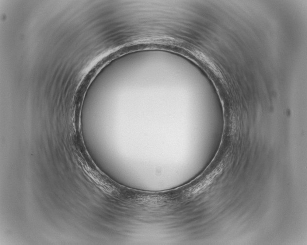 X0000087360830200705111643