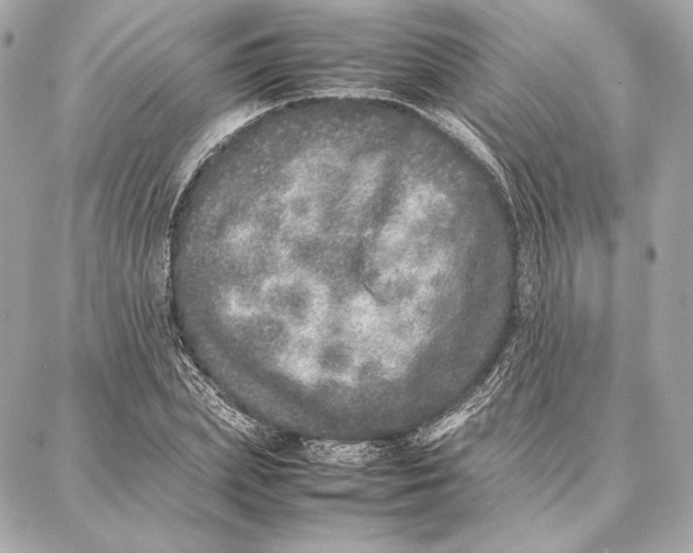 X0000087360831200705111643