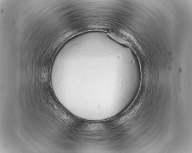 X0000087360833200705111643