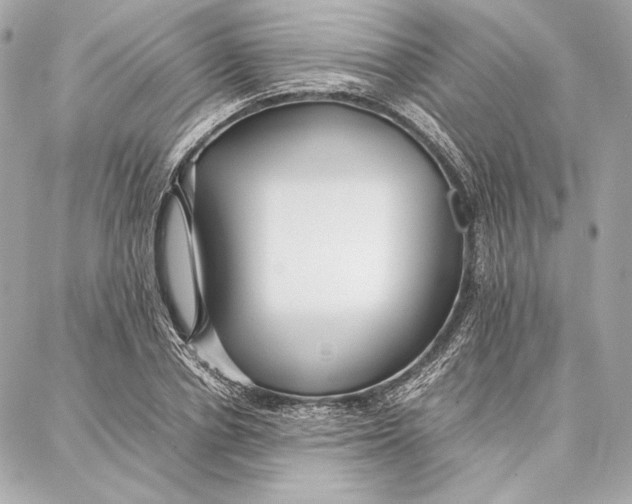 X0000087360834200705111643