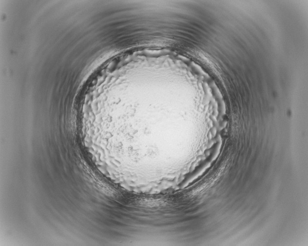 X0000087360835200705111643