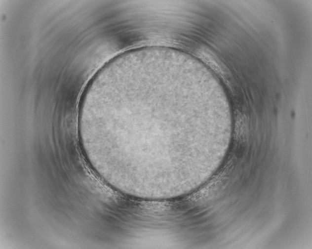 X0000087360836200705111643