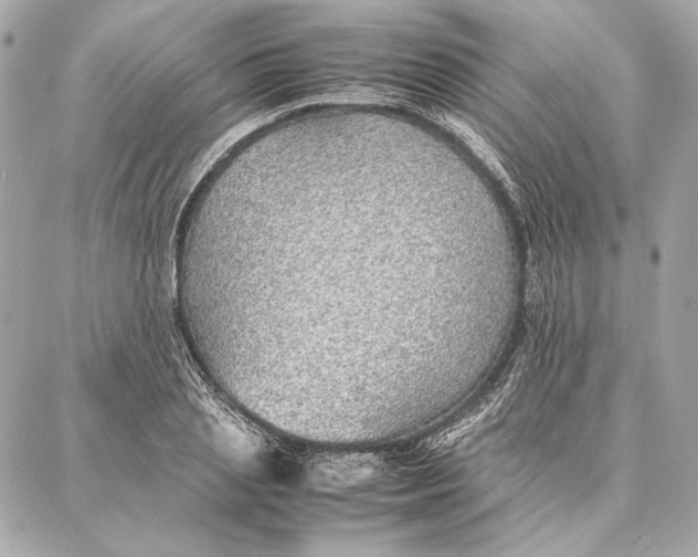 X0000087360837200705111643